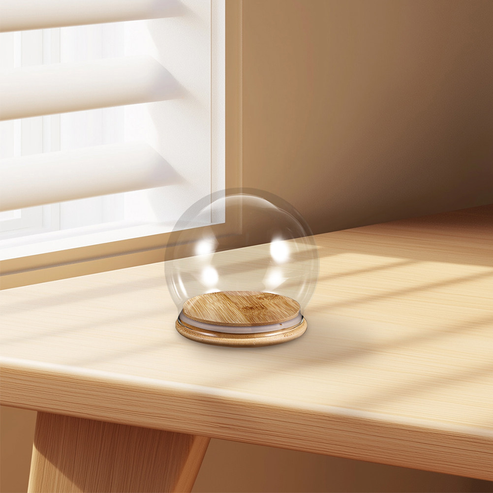2Pcs Kubah Kaca Transparan den - Plastic Dome Clear ulasan dan harga