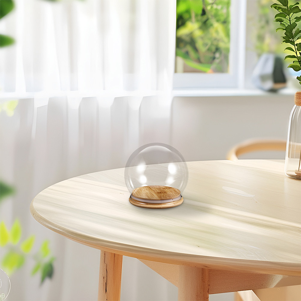 2Pcs Kubah Kaca Transparan den - Plastic Dome Clear ulasan dan harga