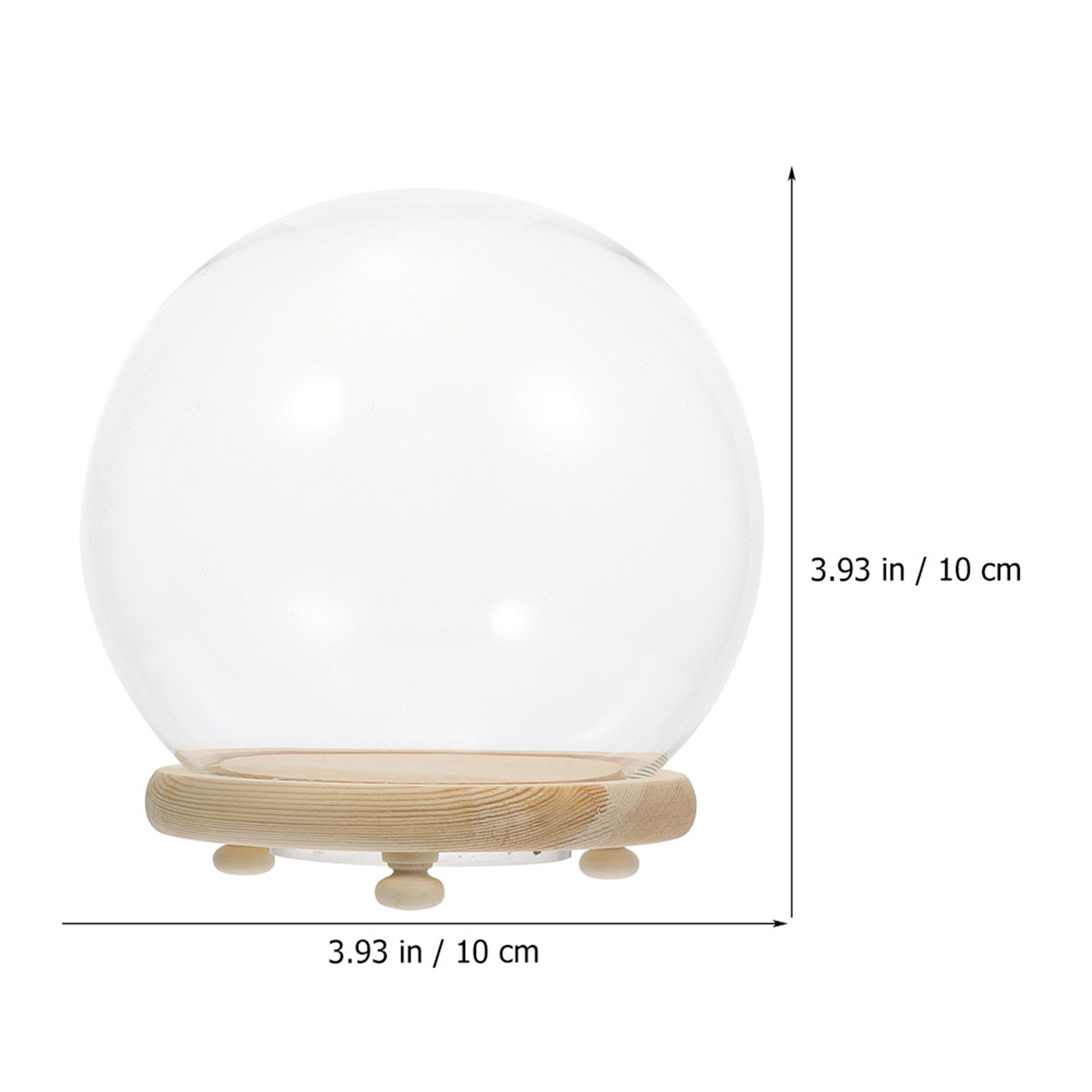 Kotak Pajangan Bunga Awet Berb - Plastic Dome Clear ulasan dan harga