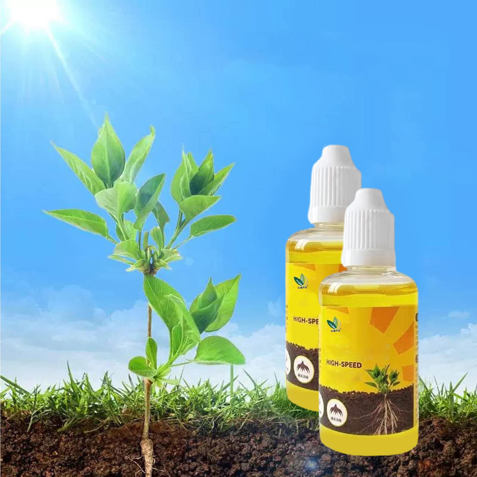 50Ml Stimulator Perakaran Tana - Root Stimulator Liquid ulasan dan harga